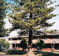 Eastern Beach Holiday Units - Tourism Townsville