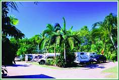 Tropical Hibiscus Caravan Park - Tourism Townsville 0