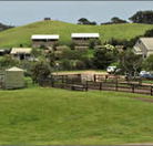 Ace Hi Riding Ranch - Tourism Townsville