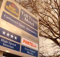 Best Western Tall Trees Motel - Tourism Townsville
