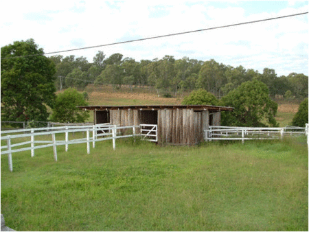 Jacaranda Motor Lodge - Tourism Townsville 1