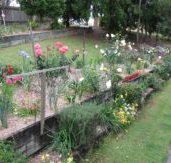 Kintail Homestay - Tourism Townsville