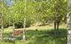 Tomah Mountain Lodge - thumb 2