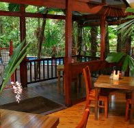 Daintree Wilderness Lodge - Tourism Townsville