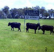 Cluan Homestead - The Managers Residence - Tourism Townsville
