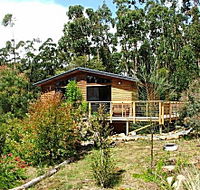 Southern Forest Accommodation - Tourism Townsville