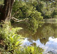 Weldborough Camping Ground - Tourism Townsville
