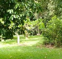 Kingfisher Park Birdwatchers Lodge - Tourism Townsville