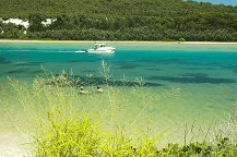 Wooli Camping and Caravan Park - Tourism Townsville