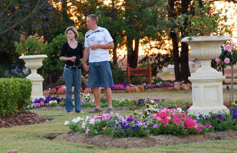 Mulanah Gardens Bed And Breakfast Cottages - Tourism Townsville 4