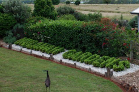 Mulanah Gardens Bed And Breakfast Cottages - Tourism Townsville 5