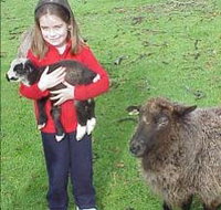 Cinnamon Coloureds Farmstay