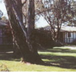 Winbi River Resort - Tourism Townsville