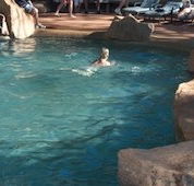 Undara Experience Lava Lodge - Tourism Townsville