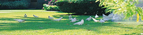 Aurora Kakadu - Tourism Townsville 0