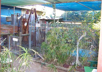 Safari Lodge Motel - Tourism Townsville 1