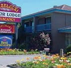 Strzelecki Motor Lodge - Tourism Townsville
