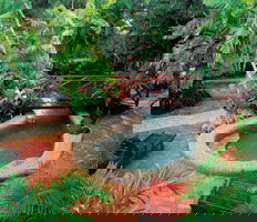 City Oasis Inn