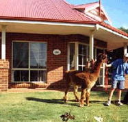 Brilea Cottages - Tourism Townsville