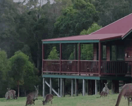  Tourism Townsville