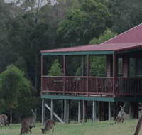 Walpole Wilderness Resort - Tourism Townsville
