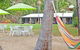 Turtle Cove Beach Resort - thumb 5