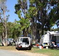 Elliston Caravan Park - Tourism Townsville
