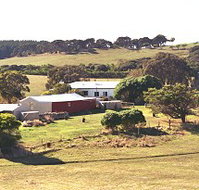 Sun Valley Eco Farm - Tourism Townsville