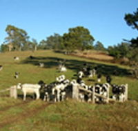 St Columba Cottage - Tourism Townsville