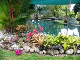 Daintree Wild Bed And Breakfast - Tourism Townsville 0