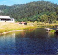 Millybrook Lodge - Tourism Townsville