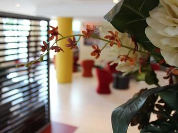 Ibis Newcastle - Tourism Townsville 24