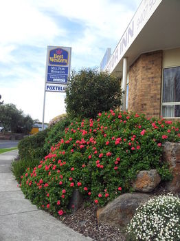 Best Western Mill Park Motel - Tourism Townsville 16