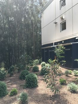 Ibis Budget Gosford - Tourism Townsville 14