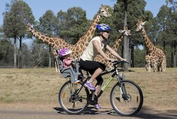 Zoofari Lodge, Taronga Western Plains Zoo - Tourism Townsville 7
