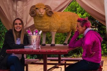 Shearing Shed Motor Inn - Tourism Townsville 50