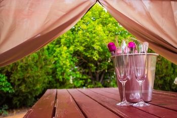 Shearing Shed Motor Inn - Tourism Townsville 51