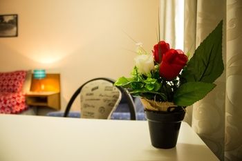 Shearing Shed Motor Inn - Tourism Townsville 54