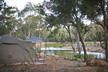 Billabong Camp, Taronga Western Plains Zoo - Tourism Townsville 3
