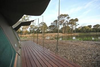 Billabong Camp, Taronga Western Plains Zoo - Tourism Townsville 11