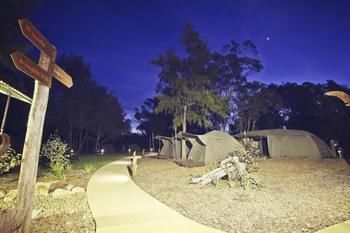 Billabong Camp, Taronga Western Plains Zoo - Tourism Townsville 12