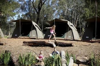 Billabong Camp, Taronga Western Plains Zoo - Tourism Townsville 13