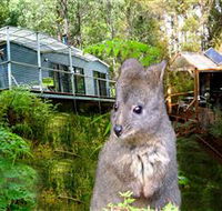 Huon Bush Retreats - Tourism Townsville