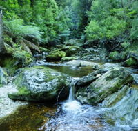 Tarkine Wilderness Experience at Corinna - Tourism Townsville