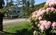 Zeehan Bush Camp  And Caravan Park - thumb 0