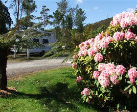 Zeehan Bush Camp  And Caravan Park - Tourism Townsville 0