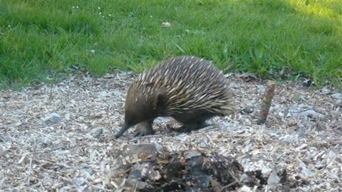 Sabrelyn Park - Tourism Townsville 5