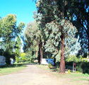Cudal Caravan Park - Tourism Townsville