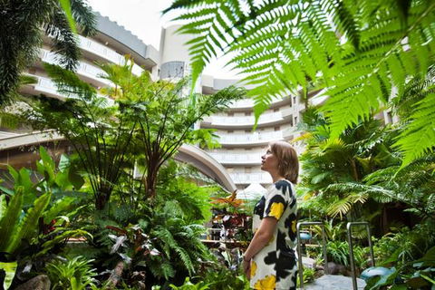 Double Tree - Tourism Townsville 3