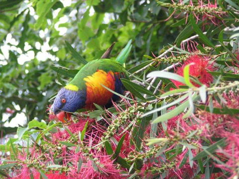 Lakesea Park - Tourism Townsville 1